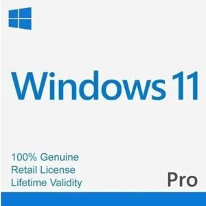 Microsoft Windows 11 Professional 64 Bit OEM