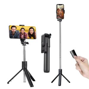 Camera Stand